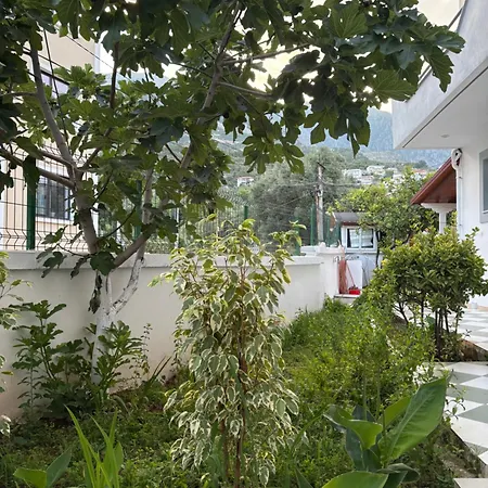 بيت ضيافة Yard Paradise *